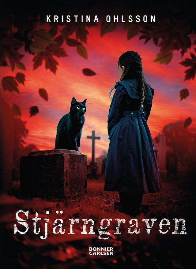 Book cover for Stjärngraven