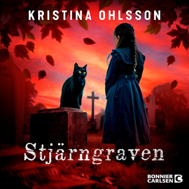 Book cover for Stjärngraven