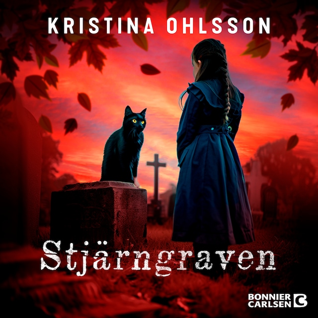 Copertina del libro per Stjärngraven