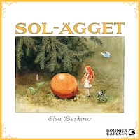 Solägget