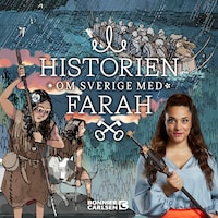 Stenålder, metall och vikingar