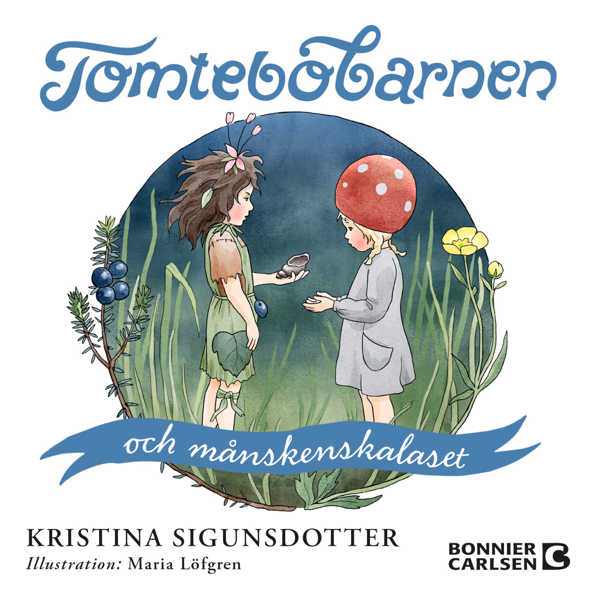 Tomtebobarnen och månskenskalaset