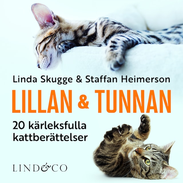 Bogomslag for Lillan och Tunnan: 20 kärleksfulla kattberättelser