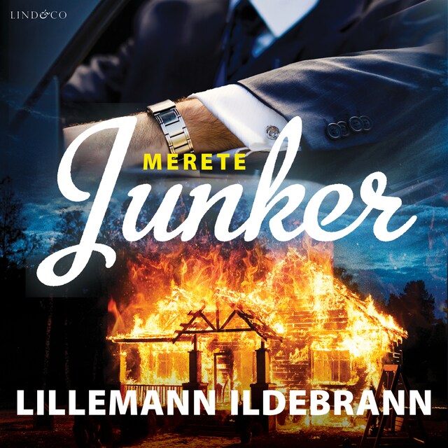 Buchcover für Lillemann Ildebrann