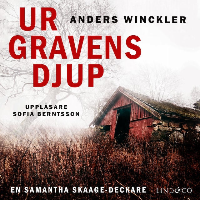 Buchcover für Ur gravens djup