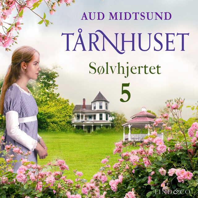 Book cover for Sølvhjertet