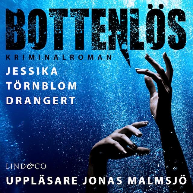 Book cover for Bottenlös