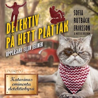 Detektiv på hett plåttak bookCoverFor