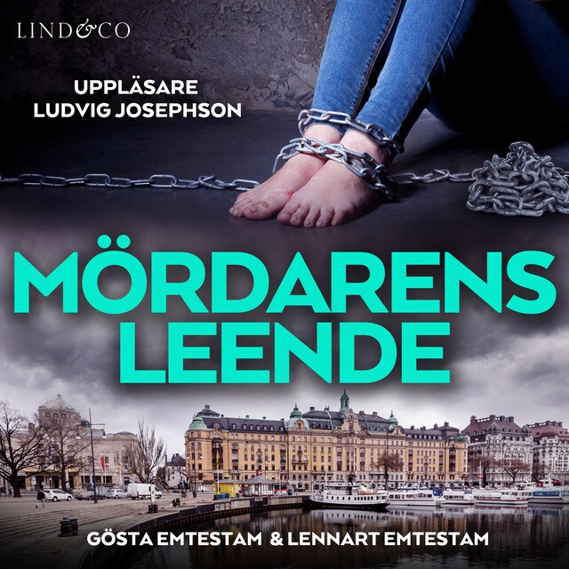 Book cover for Mördarens leende