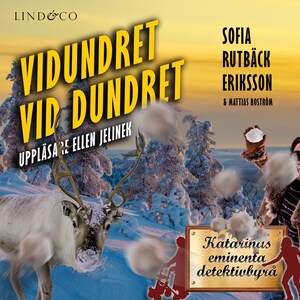 Vidundret vid Dundret bookCoverFor