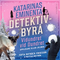 Vidundret vid Dundret