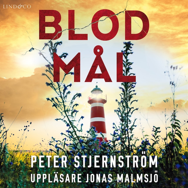 Book cover for Blodmål