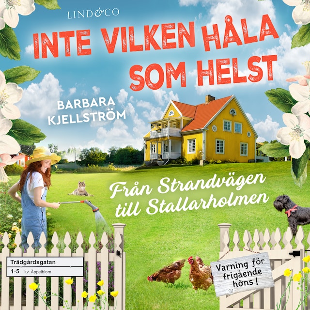 Book cover for Inte vilken håla som helst: Från Strandvägen till Stallarholmen