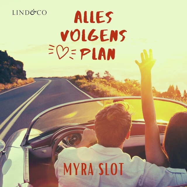 Book cover for Alles volgens plan