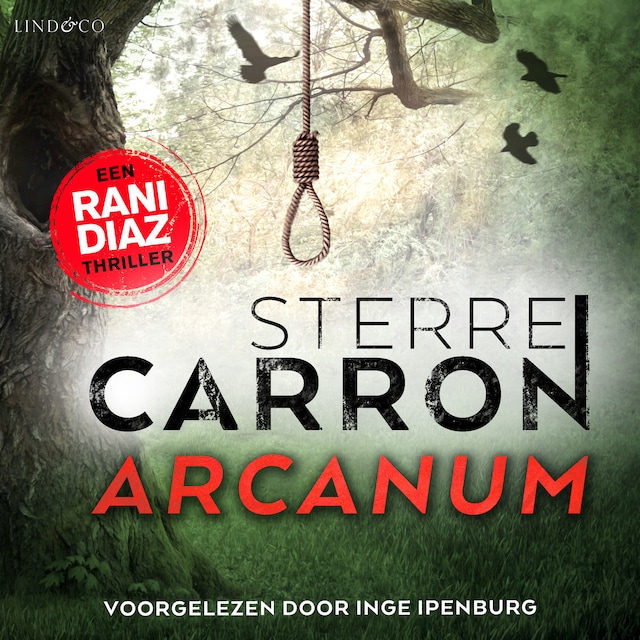 Book cover for Arcanum