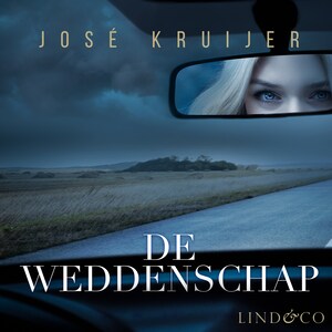 De weddenschap - luisterboek