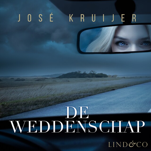 Book cover for De weddenschap