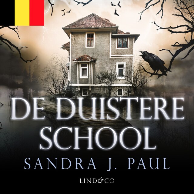 Book cover for De duistere school