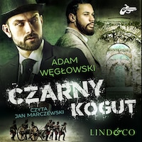 Czarny kogut