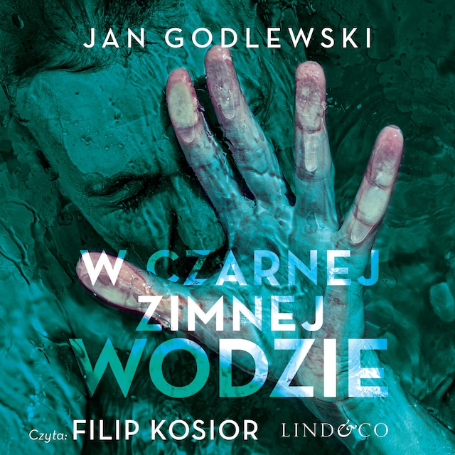 Book cover for W czarnej zimnej wodzie