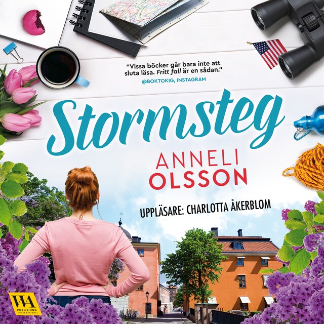 Book cover for Stormsteg