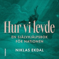 Hur vi levde : Den gudomliga komedin om Sverige