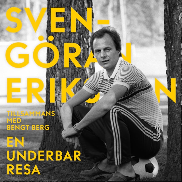 Book cover for En underbar resa