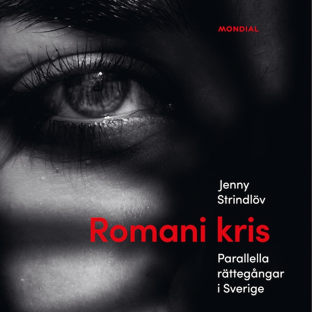 Boekomslag van Romani kris