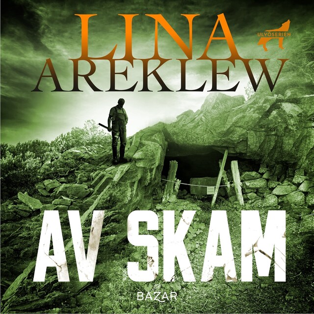 Book cover for Av skam