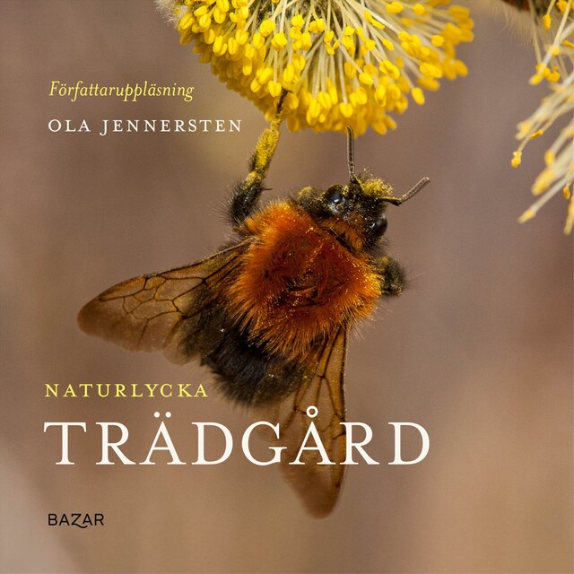 Book cover for Naturlycka - Trädgård