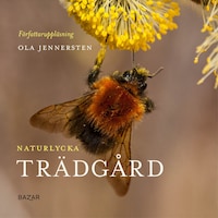 Naturlycka - Trädgård