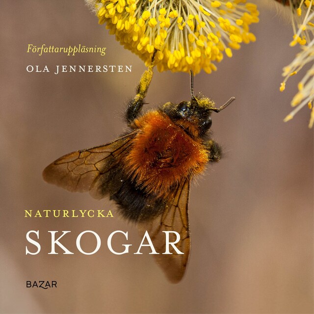 Book cover for Naturlycka - Skogar