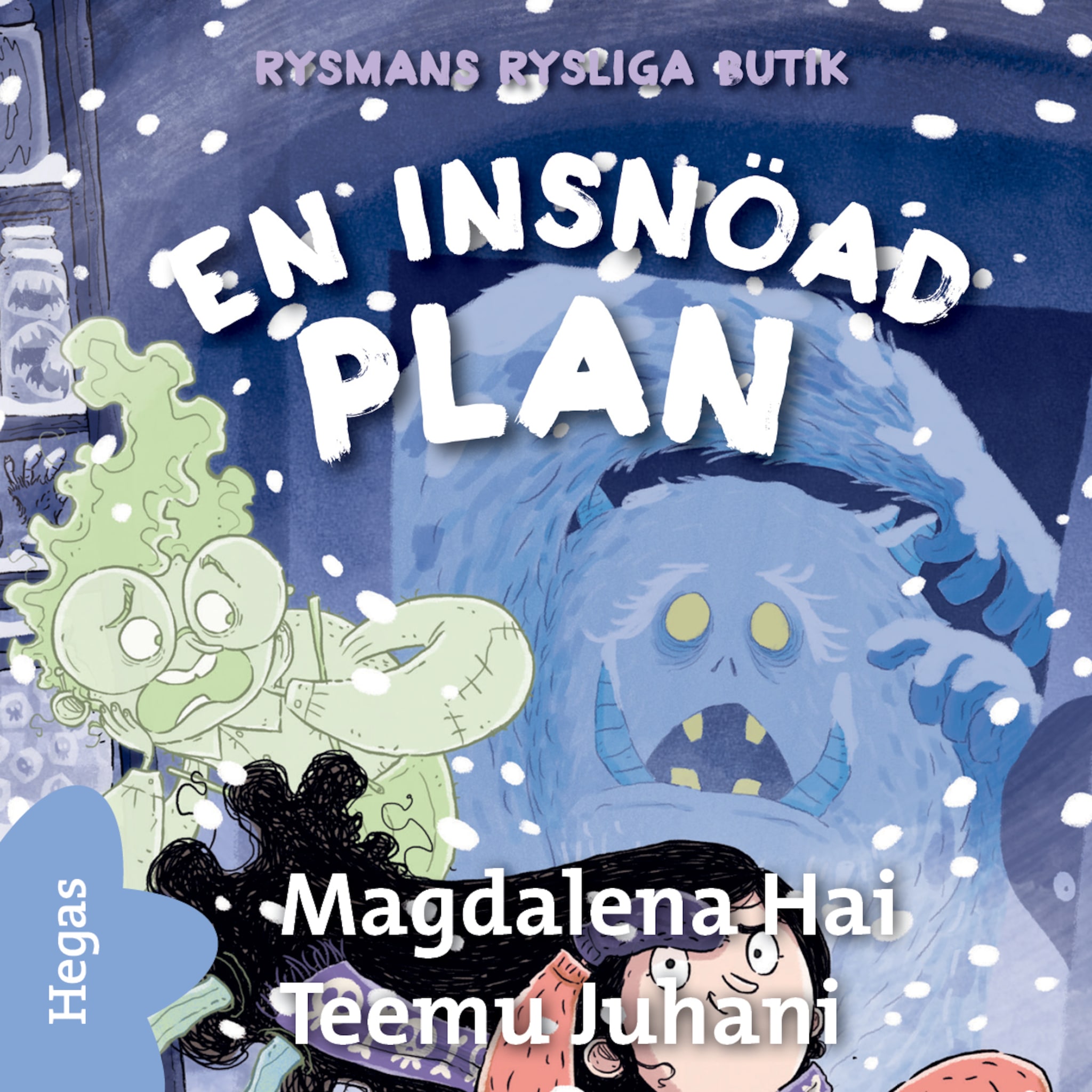 En insnöad plan