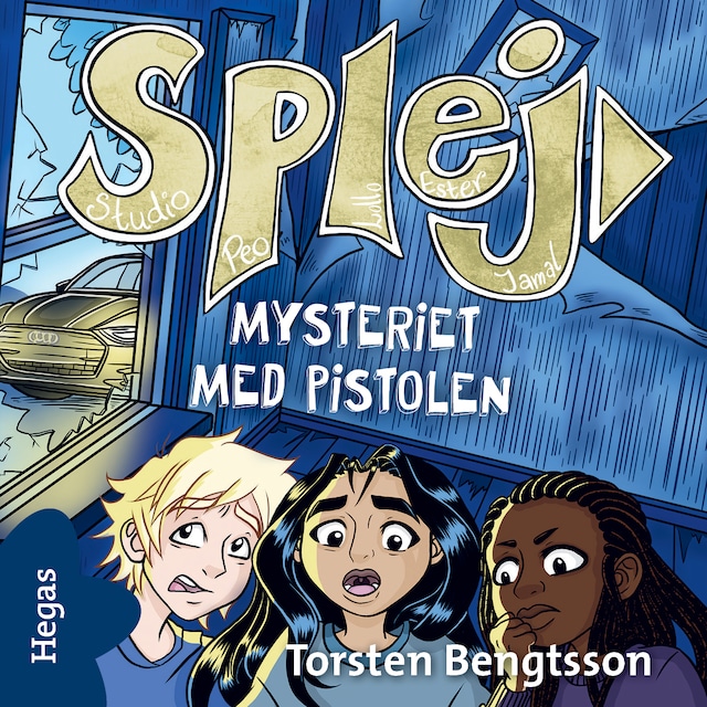 Couverture de livre pour Mysteriet med pistolen