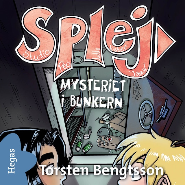 Book cover for Mysteriet i bunkern