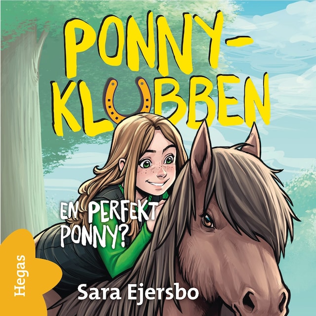 Book cover for En perfekt ponny?