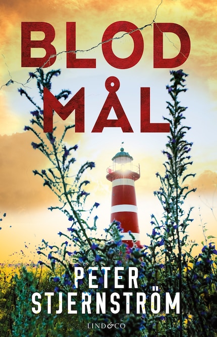 Blodmål bookCoverFor