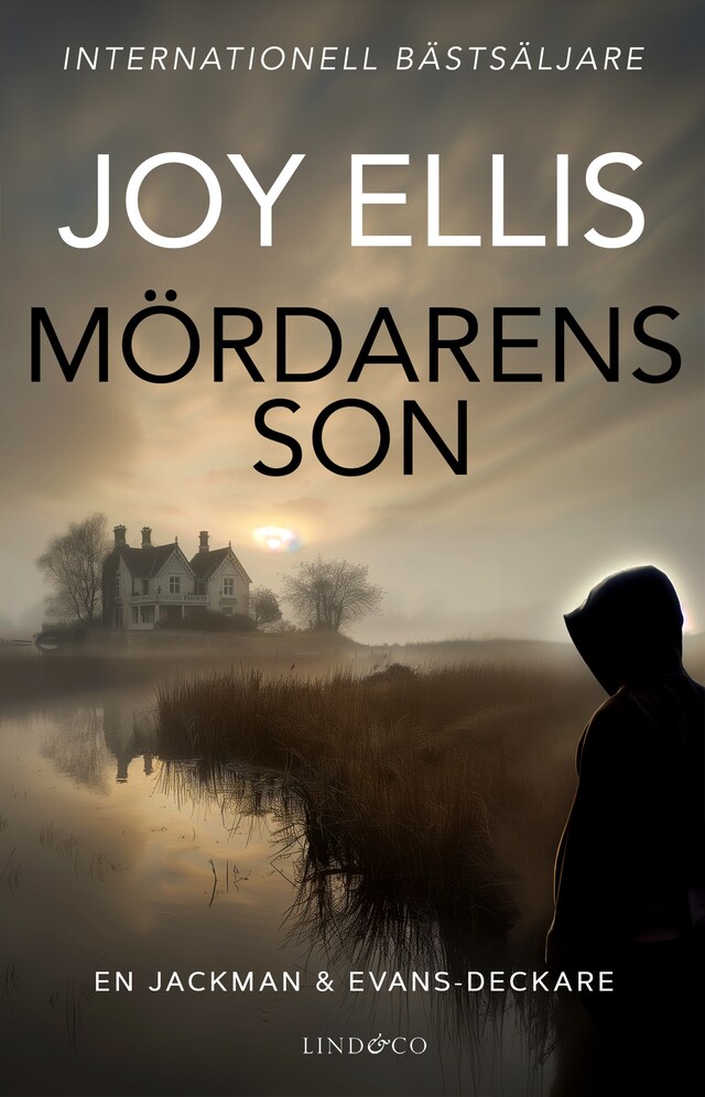 Book cover for Mördarens son