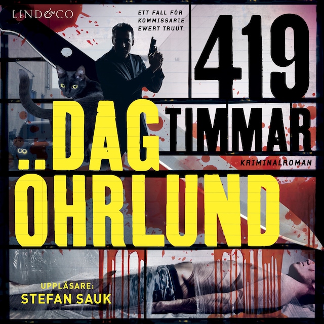 Buchcover für 419 timmar