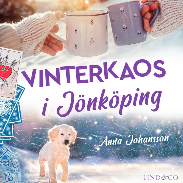 Book cover for Vinterkaos i Jönköping