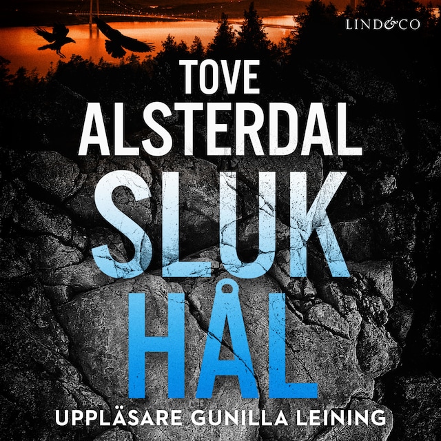 Portada de libro para Slukhål