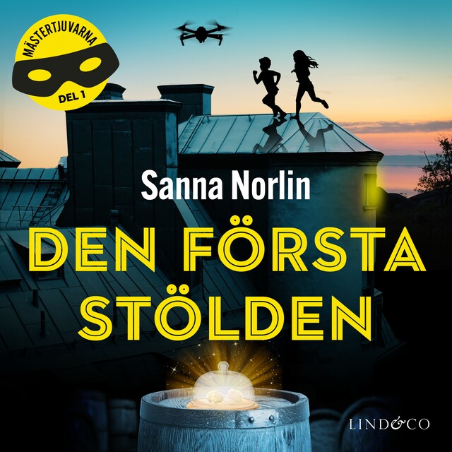 Okładka książki dla Den första stölden