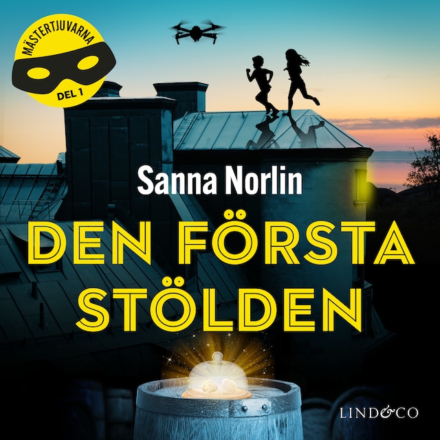 Buchcover für Den första stölden