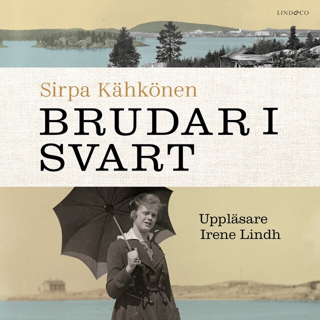 Book cover for Brudar i svart