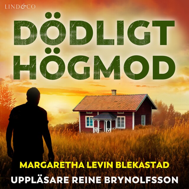 Book cover for Dödligt högmod