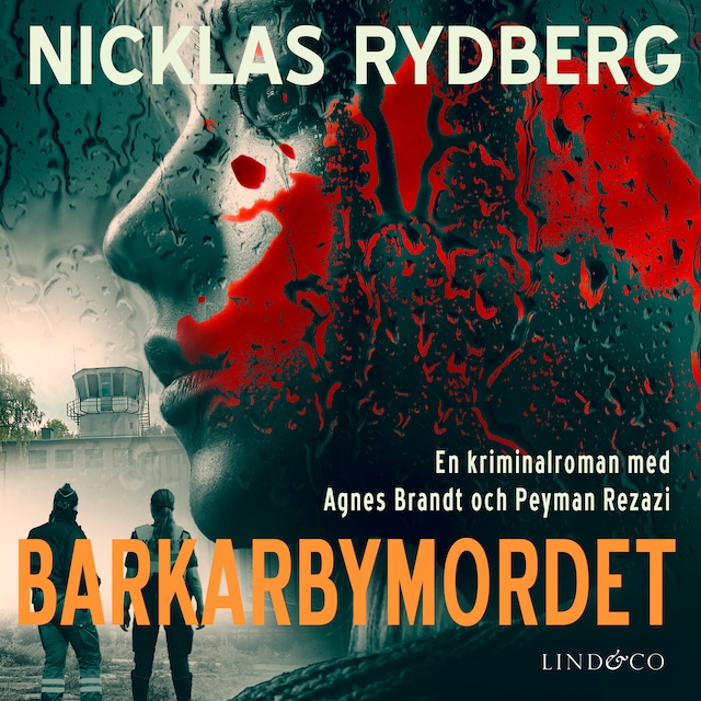 Book cover for Barkarbymordet