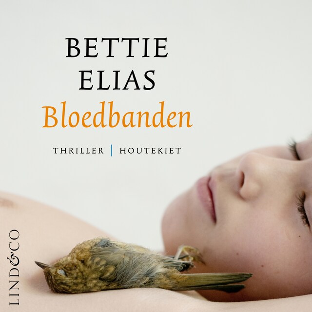 Book cover for Bloedbanden