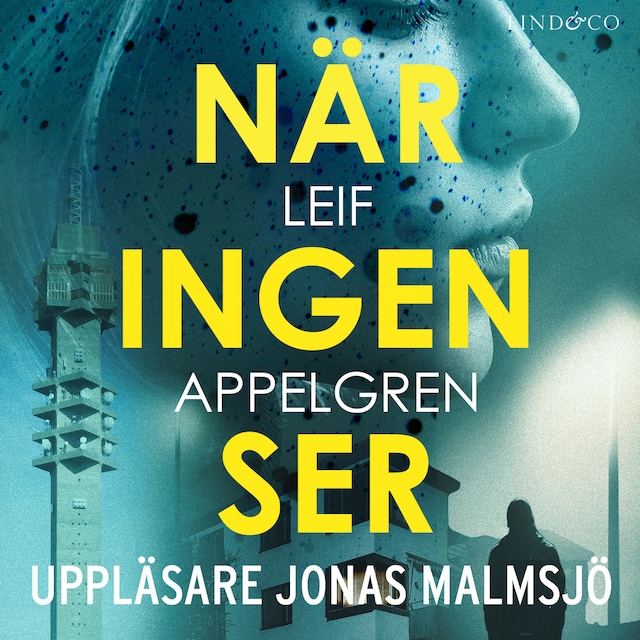 När ingen ser Book cover for När ingen ser