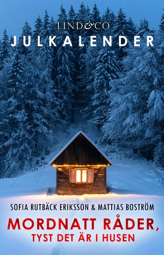 Mordnatt råder, tyst det är i husen: Lucka 16 bookCoverFor
