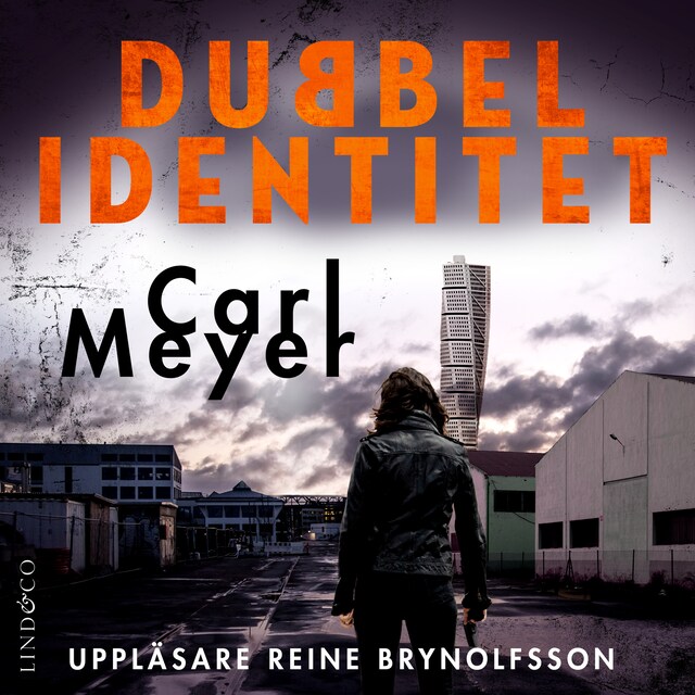 Book cover for Dubbel identitet